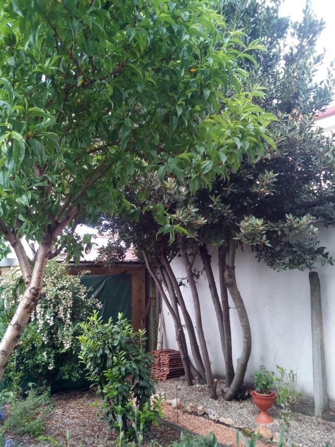 B&B Antica Corte Lombarda Mortara Exterior foto